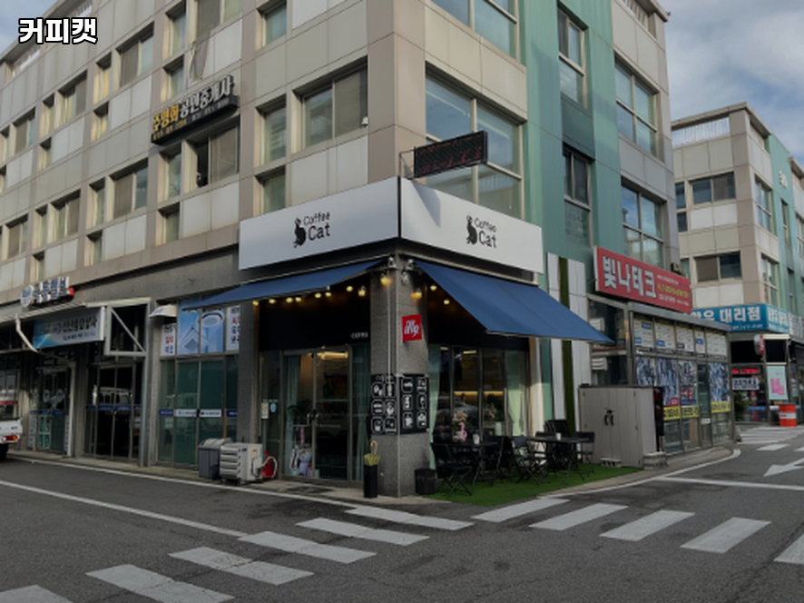 커피캣 사진 1