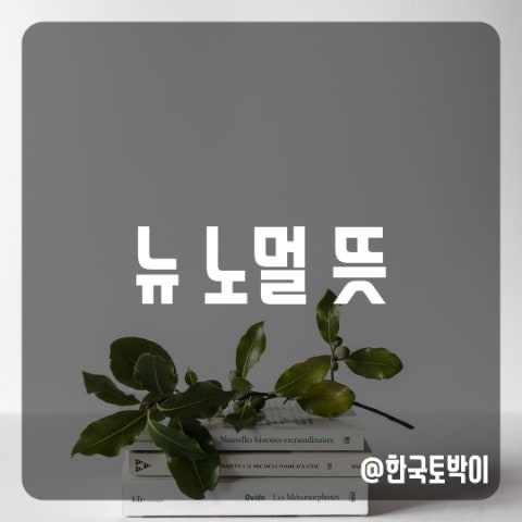  뉴노멀 뜻(New Normal)
