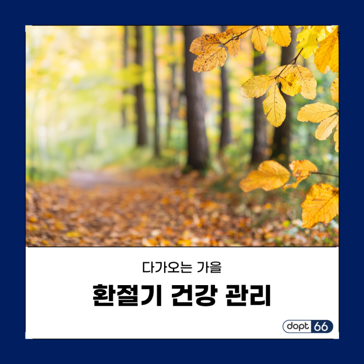  환절기 건강 관리 중요한 이유와 실천 방법 4가지