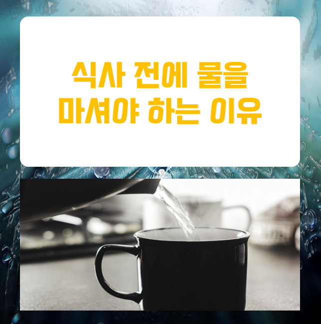  왜  식사전에 물을 마시라고 하는 걸까요?