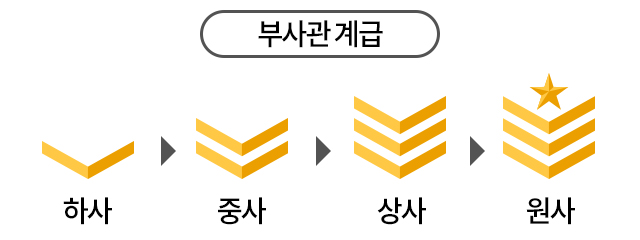  [군대 썰(공군)] 공군은 주임원사의 힘이 약하다(feat. 준위)?