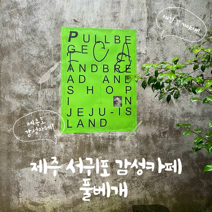  제주 풀베개 제주 서귀포 감성 카페