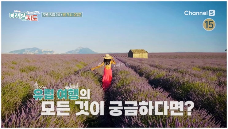 다시갈지도 이재황 시트콤 웬만하면그들을막을수없다 케이블TV방송대상 영국 런던 토트넘 손흥민 엘튼존 데이비드베컴 채널S 김신영 이석훈 최태성 강은탁