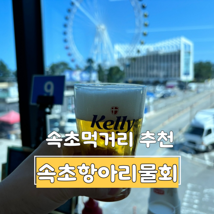  속초먹거리 추천 속초 아이대관람차를 보며 먹는 속초항아리물회