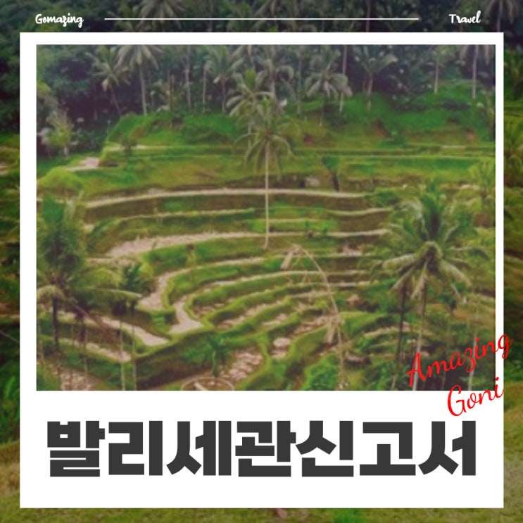 발리 전자세관신고서 미리 작성하고 동반인과 함께 10분 만에 입국하기! (feat. 대한항공 특별기내식 신청) 발리 전자세관신고서 미리 작성하고 동반인과 함께 10분 만에 입국하기! (feat. 대한항공 특별기내식 신청)
