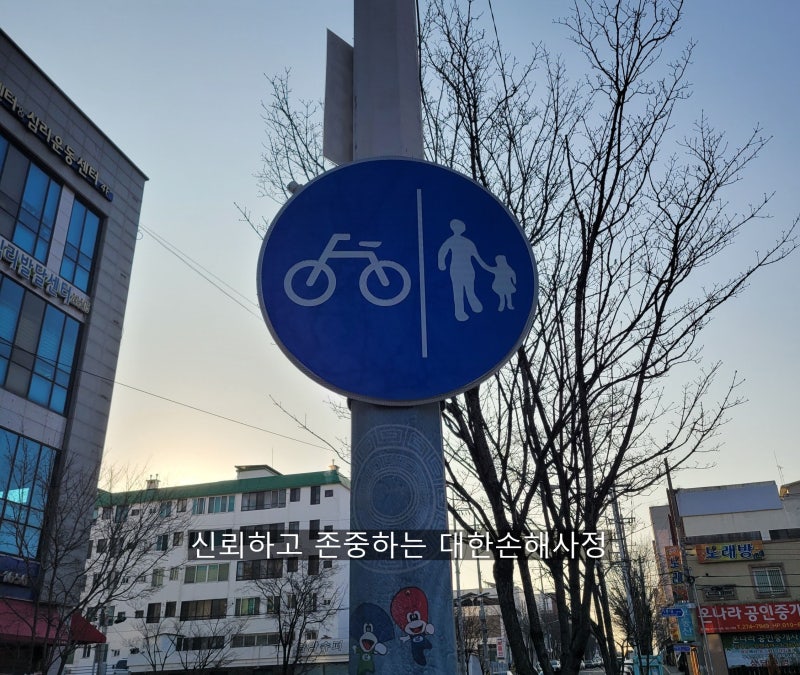 전주시 자전거사고, 허리뼈골절로 후유장해 진단받고 자전거보험으로 보상받은 후기