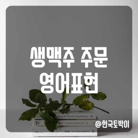  생맥주 영어로 주문하기 (draught/draft beer)