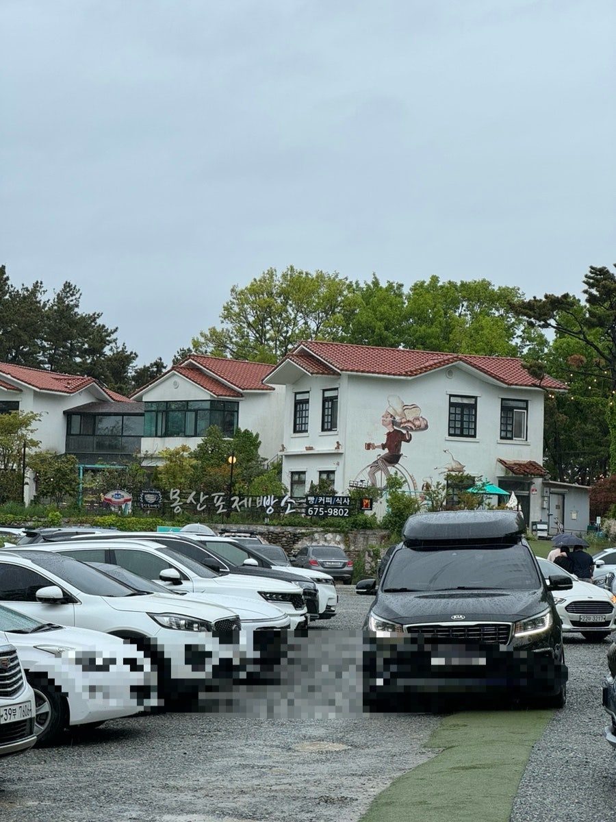 나비 사진 2