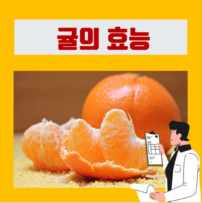  [이학박사] 귤 하나의 칼로리 및 효능