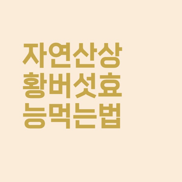  자연산 뽕나무 송 상황버섯 효능과 먹는 방법 총정리