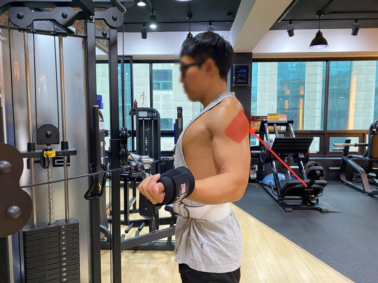  후면 삼각근 어깨 운동 케이블로 끝내기