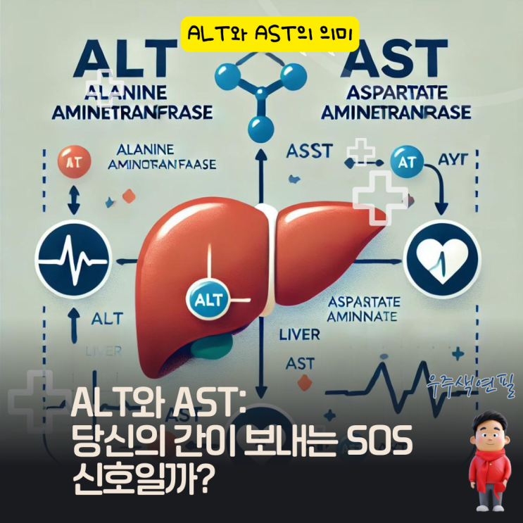  ALT와 AST: 당신의 간이 보내는 SOS 신호일까?