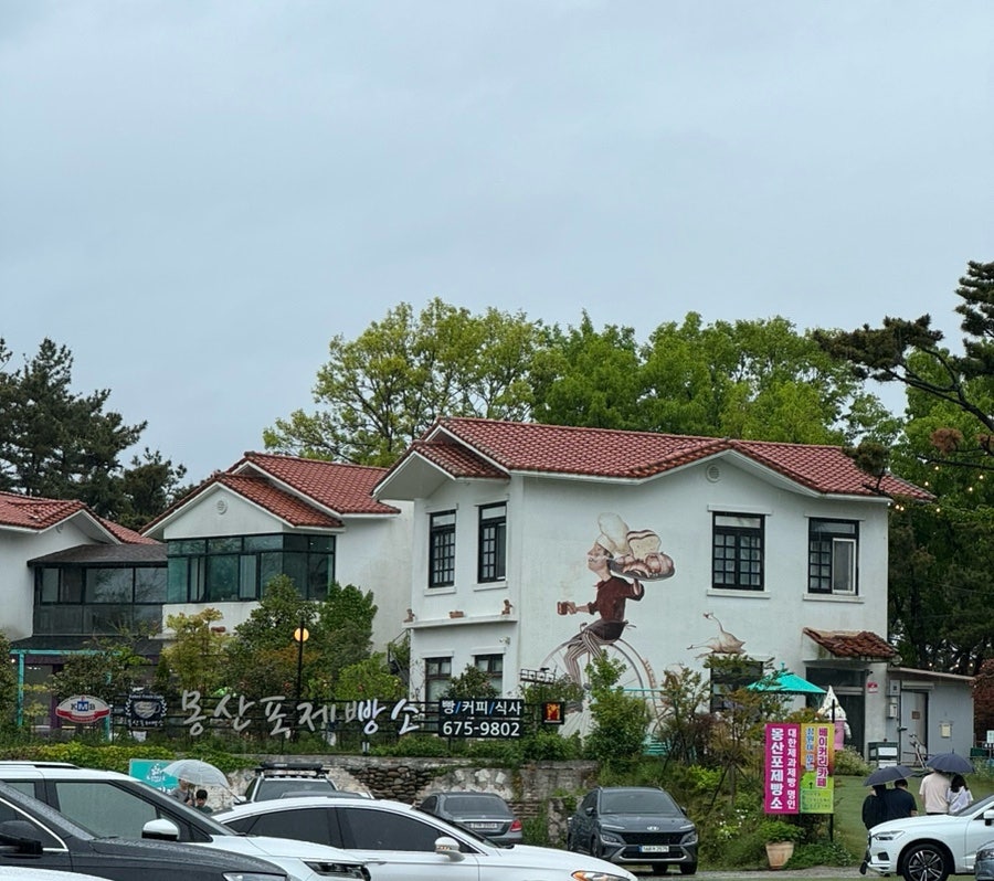나비 사진 1