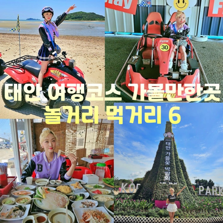  충남 태안 가볼만한곳 가을꽃박람회 외 놀거리 먹거리 여행코스 추천