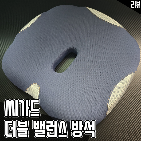 기능성 허리방석 추천 씨가드 더블밸런스 후기 기능성 허리방석 추천 씨가드 더블밸런스 후기