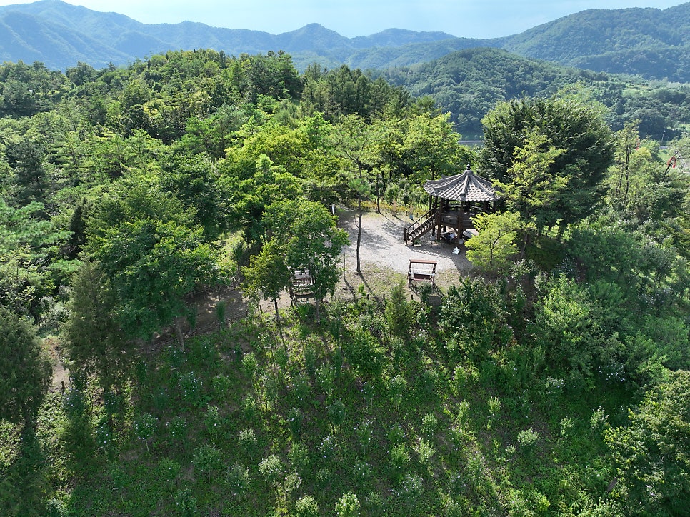 소담숲 사진 2