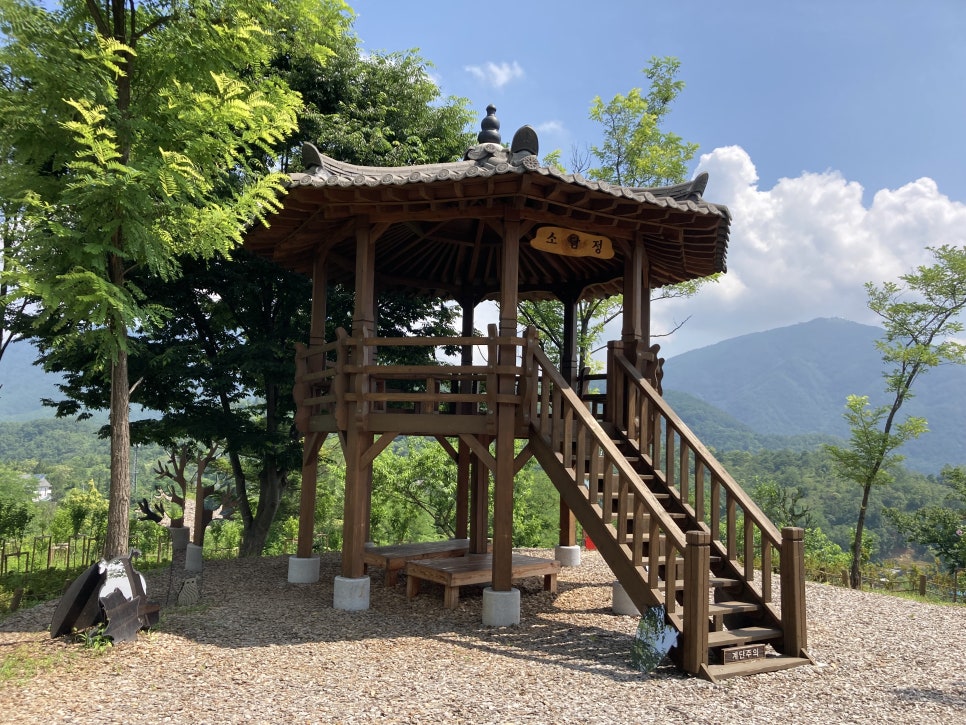 소담숲 사진 6