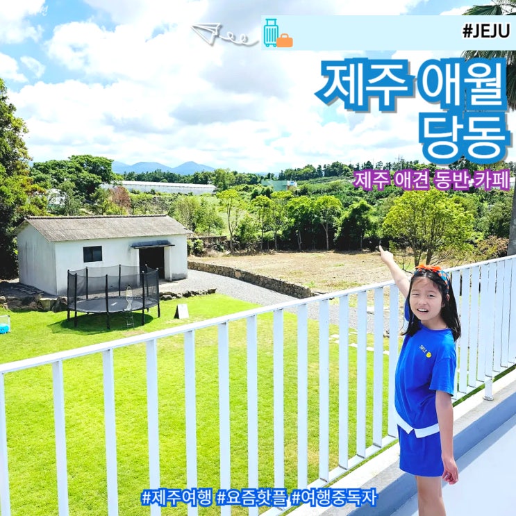  제주 애월 애견동반 카페 추천 당동