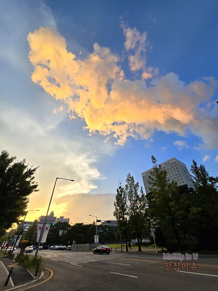  8월 일기 / 대전선사유적지, 대전시청, 둔산동콩카페, 만년동빵집, 뚜레쥬르