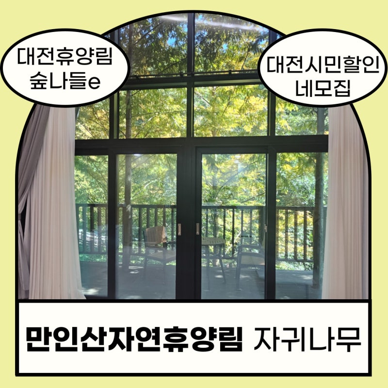 사진 2