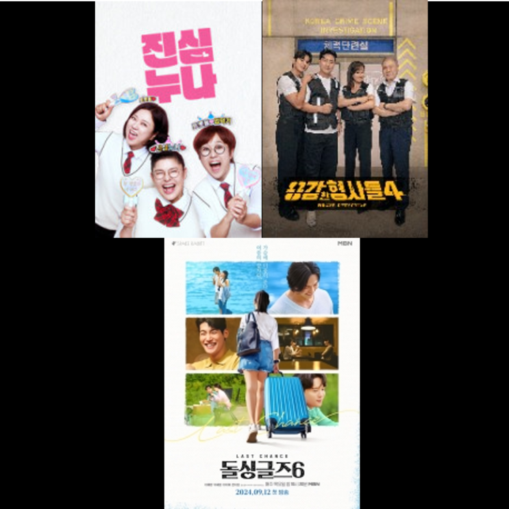 [9월 2주차] 신규예능 프로그램_돌싱글즈6/용감한 <b>형사들 4</b>... 
