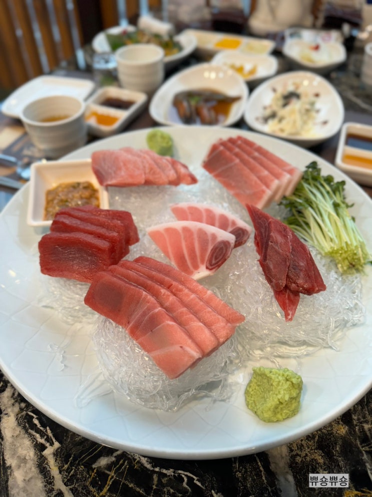  장한평 장안동 참치 무한리필이 가능한 혼마구로 전문점 본참치