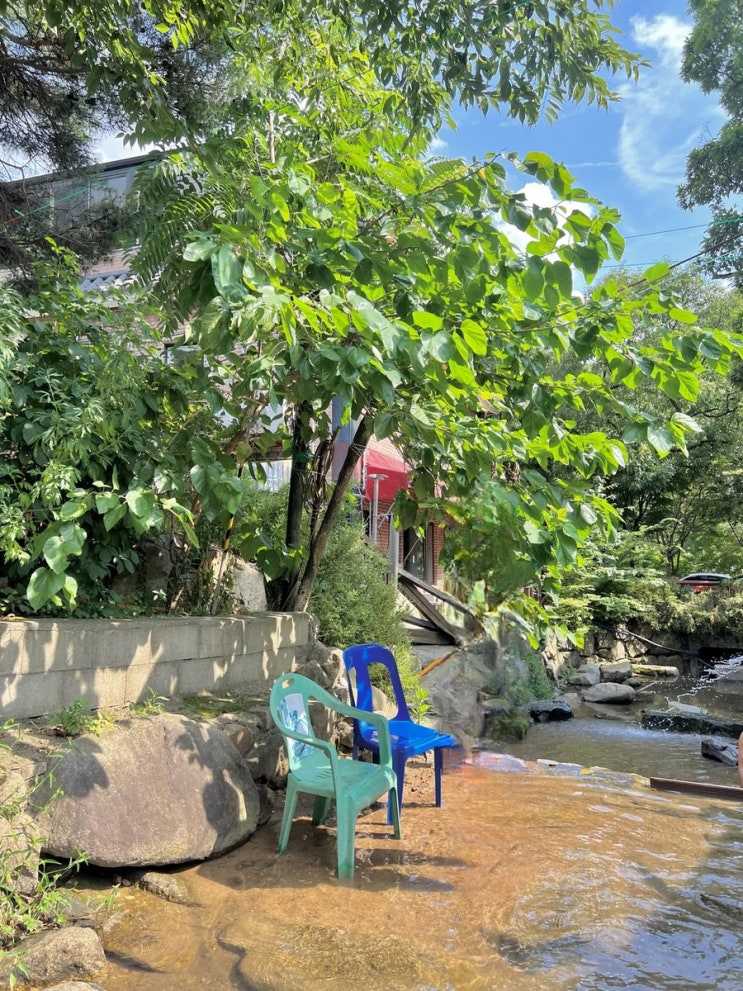  경기도 삼막사 근처 안양 예술공원 계곡식당 촌골오리