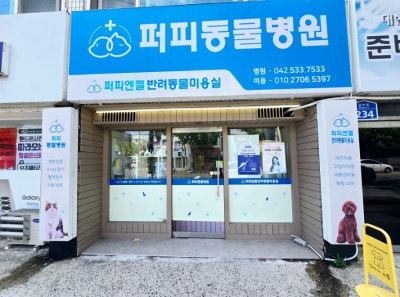 퍼피엔젤