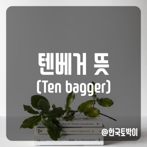  주식 텐베거 뜻 (ten bagger)