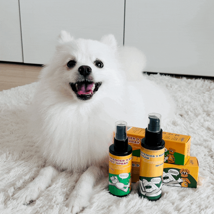 강아지에게 꼭 필요한 산책용품 도들러 산책 스프레이와 풋크림 강아지에게 꼭 필요한 산책용품 도들러 산책 스프레이와 풋크림