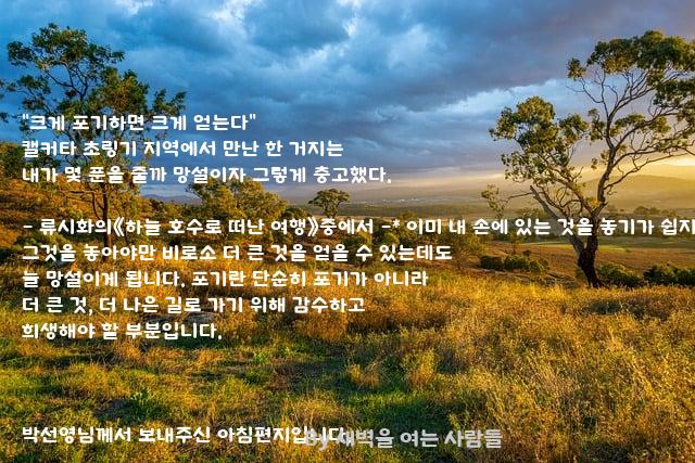 포기 포기