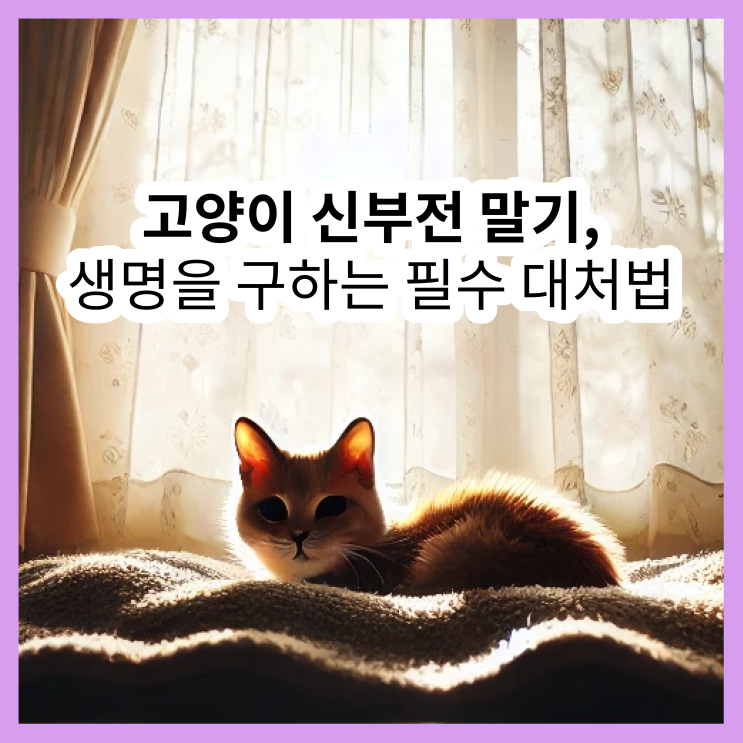 고양이 신부전 말기, 생명을 구하는 필수 대처법