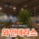[수원/인계동] 분위기 있는는 와인바, '와인테라스' 후기🍷