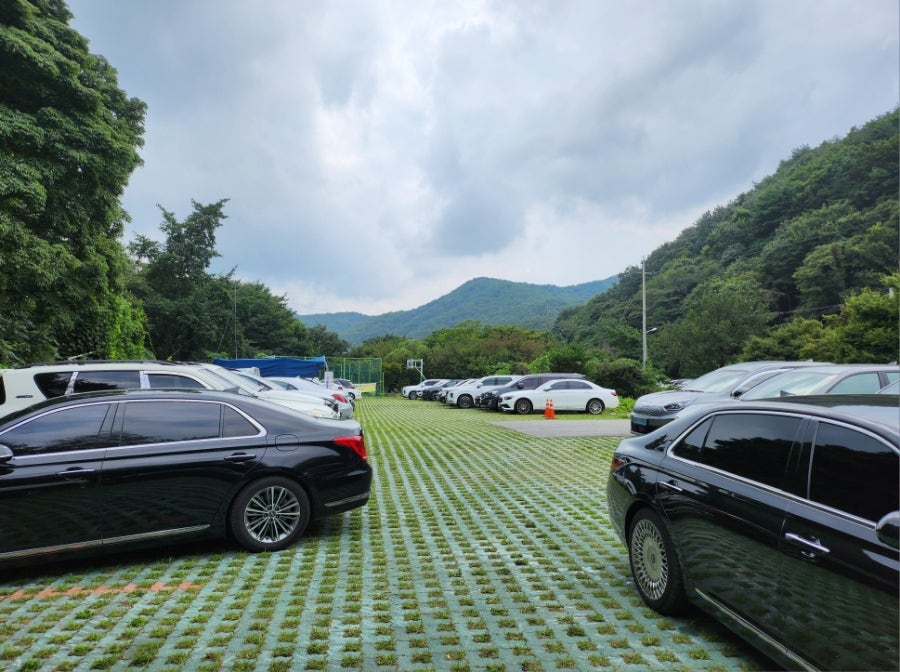 산천초목 사진 5