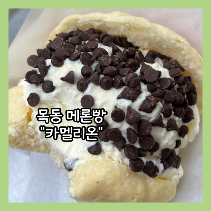  [목동] 신정역 메론빵 맛집 "카멜리온" 아이스크림 메론빵, 정통 멜론빵 내돈내산