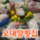 [충주/신연수동] 충주 신연수동 '오대양횟집' 푸파 후기!!