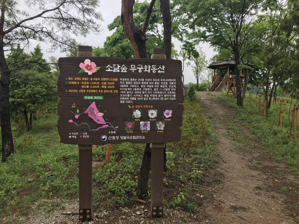 소담숲 사진 3