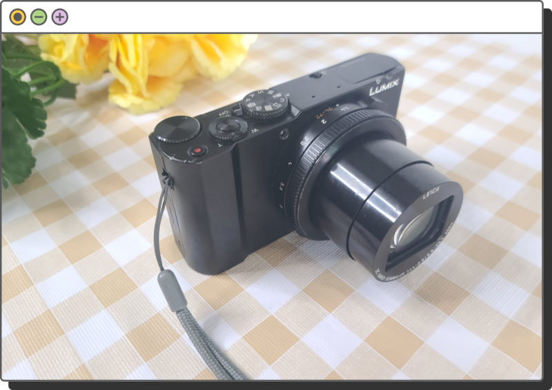파나소닉 루믹스 lx10, lx100m2비교