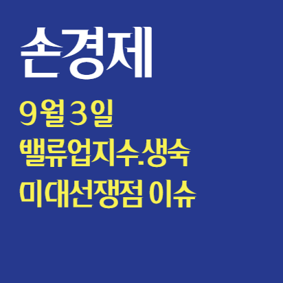  손경제 9월 3일 : 밸류업지수, 미대선쟁점이슈, 생숙