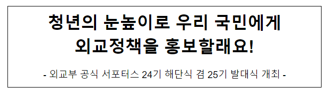 청년의 눈높이로 우리 국민에게 외교정책을 홍보할래요! 청년의 눈높이로 우리 국민에게 외교정책을 홍보할래요!