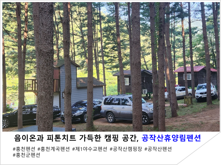  음이온과 피톤치트 가득한 캠핑 공간,공작산휴양림펜션