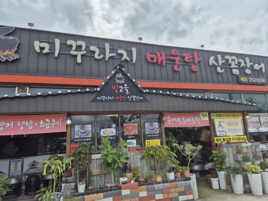 빛고을미꾸라지매운탕산꼼장어 사진 1