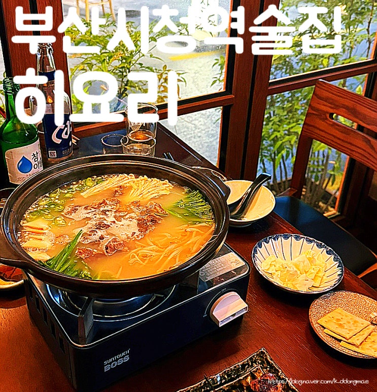  부산 시청역 술집 '히요리 부산시청점' 분위기 좋은 이자카야 추천