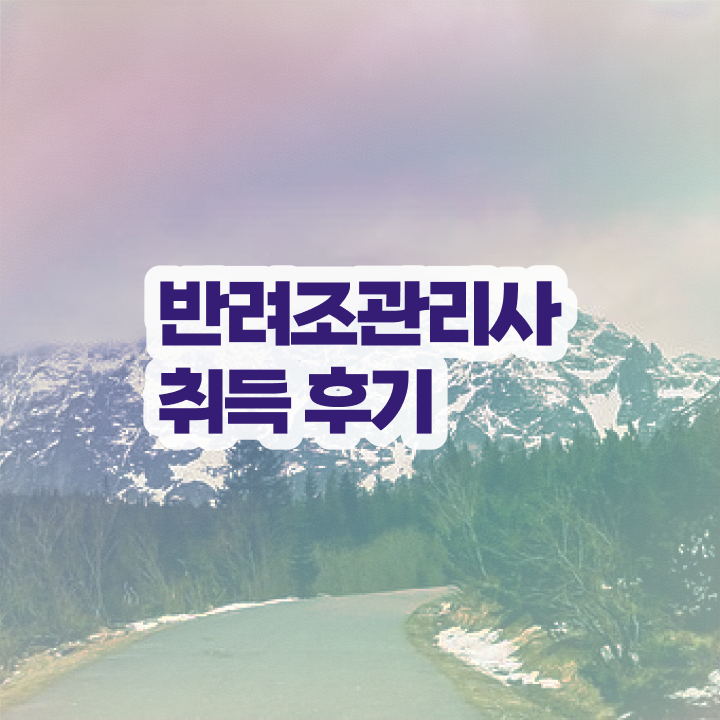  퀘이커 앵무새 키우기 , 반려조관리사 자격증 15일 만에 합격한 후기 , 활용 방법