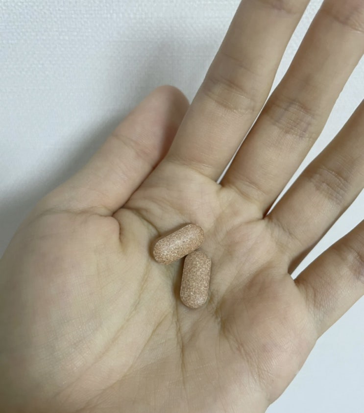  관리꿀템3. 푸드올로지 빨간통 후기