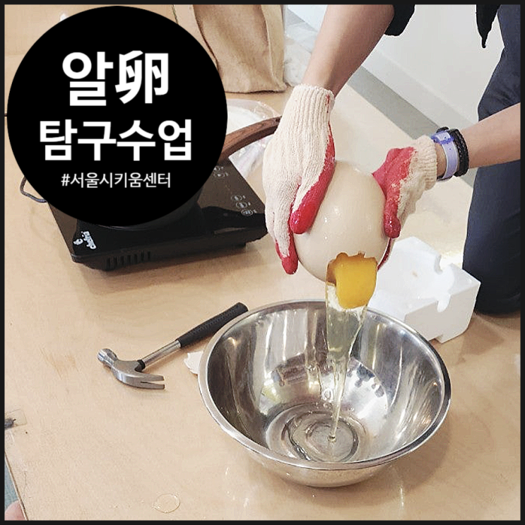  [키움센터특강] 알에 대해 어디까지 알아봤니! | 미스터리 생태계 | 동작 미래교육 | 동작구 | 오해피데이지