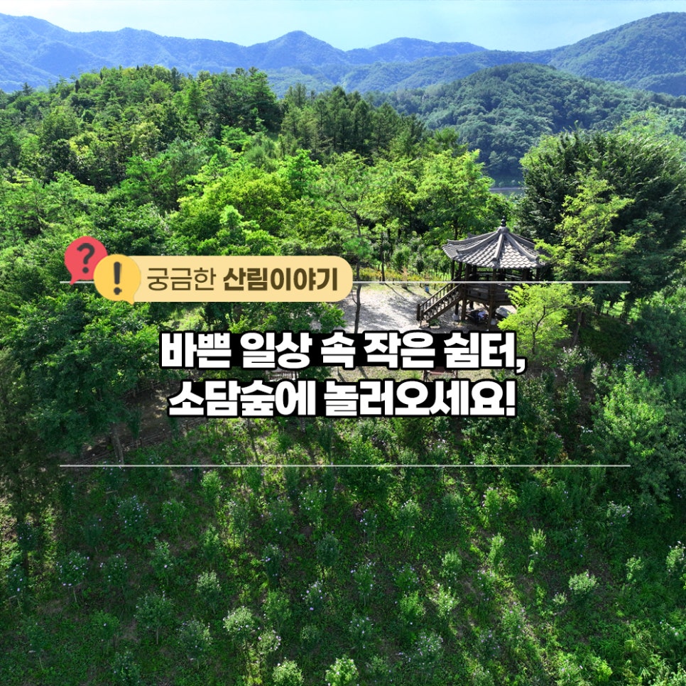 소담숲 사진 1