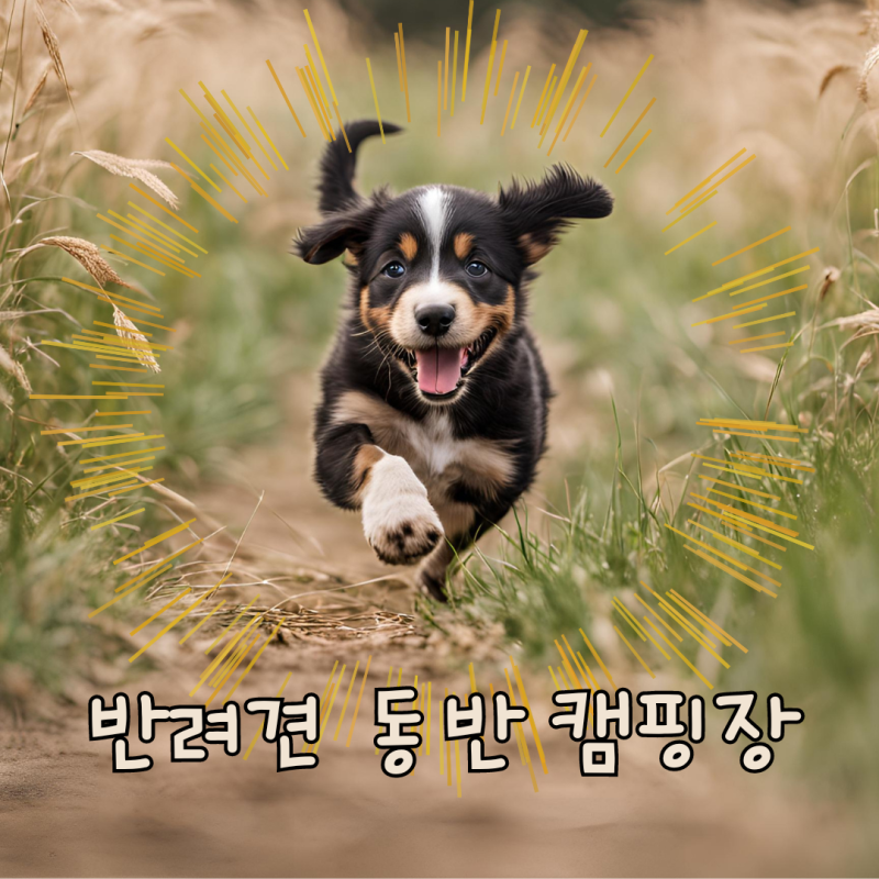 사진 3