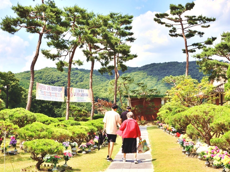  수목장 예절 갖추어야 하는 태도