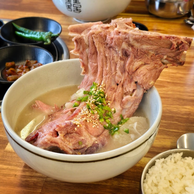  제주 맛집 | 넉둥베기 고사리육개장 - 내돈내산 제주 공항 접짝뼈국 맛집
